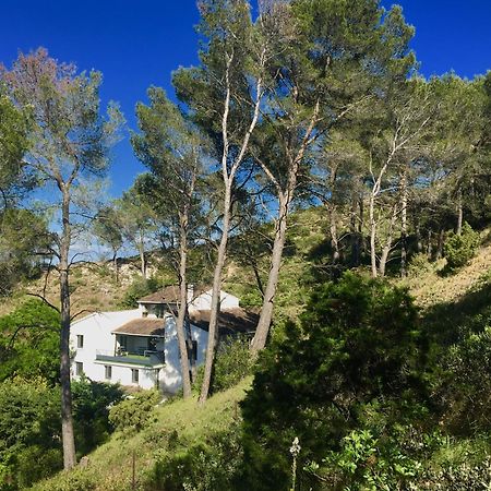Saint-Étienne-du-Grès Arty Provence, Piscine Chauffee B&B 외부 사진
